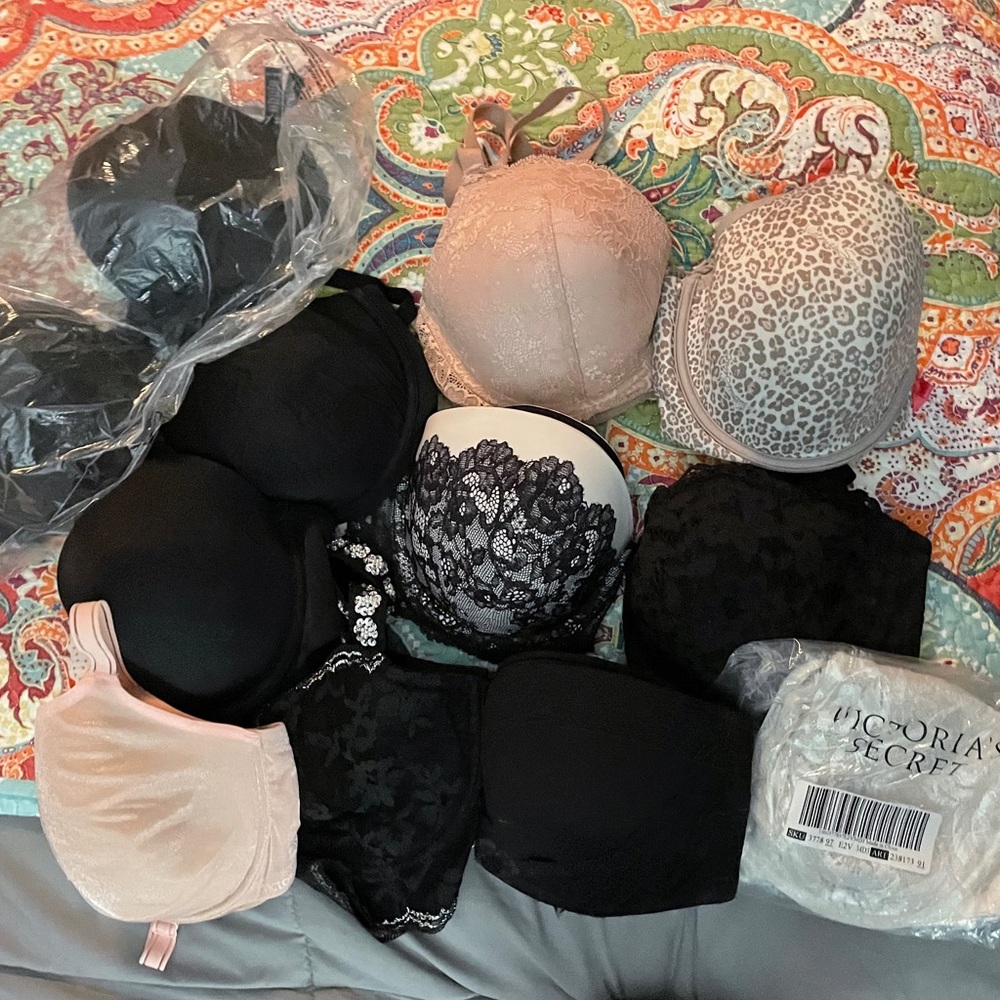 Vs and pink bras